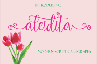 Aleidita: A Handmade Seller’s Go-To Calligraphy Font