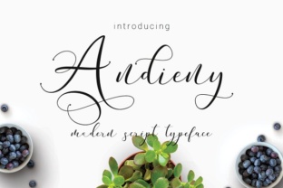 Andieny Script: A Modern Calligraphy Font for Editorial Design