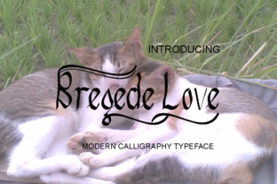 Bregede Love: A Script Typeface for Editorial Design