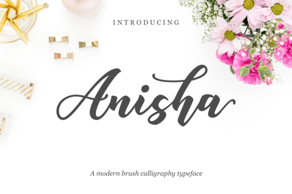 How Anisha Script Font Gave My Small Business a Brand Upgrade