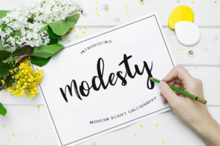 How Modesty Font Gave My Small Business a Polished Brand Look