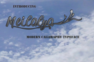Meilalya: A Handcrafted Script Font for Real Branding