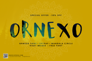 Ornexo: A Script Font That Balances Elegance and Utility