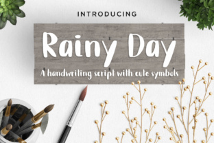 Rainy Day: A Handwritten Script Font for Clear Campaign Messaging