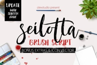 Seilotta: A Gorgeous Brush Script Typeface Built for Branding Work