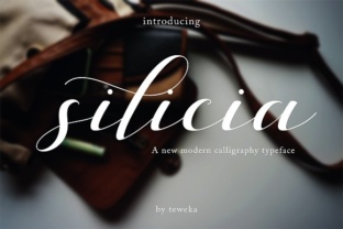 Silicia: The Script Font That Brings Campaign Messaging to Life