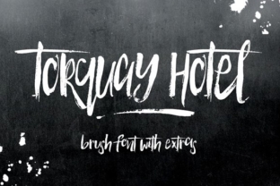 Torquay Hotel: A Handcrafted Font for Creative Brands