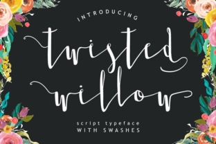 Twisted Willow: A Script Amp for Creative Brands