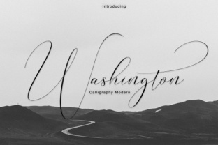 Washington Font: A Hand-Crafted Typeface for Digital Designers